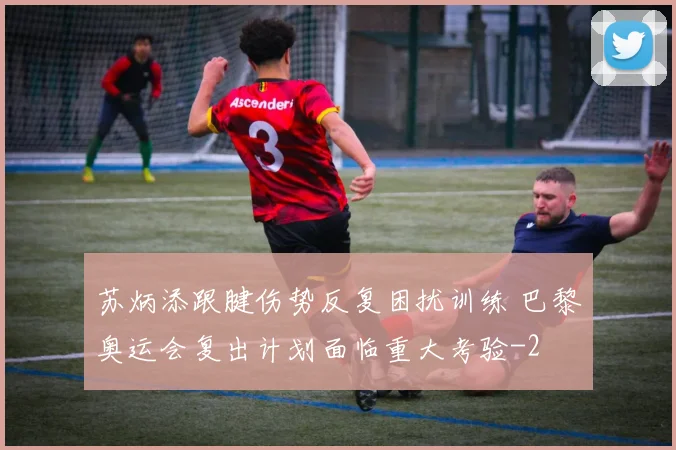 苏炳添跟腱伤势反复困扰训练 巴黎奥运会复出计划面临重大考验