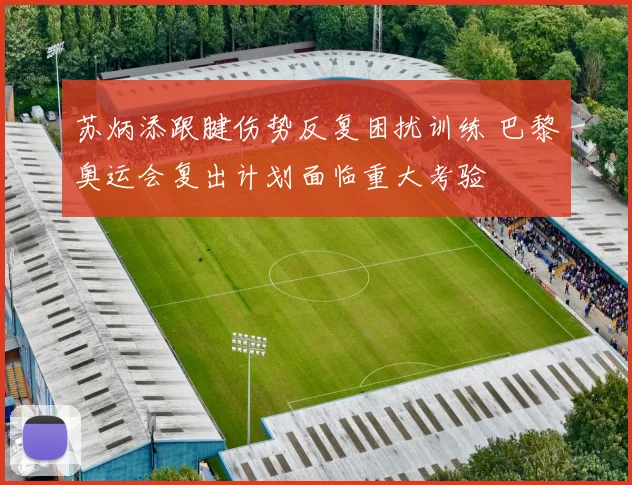 苏炳添跟腱伤势反复困扰训练 巴黎奥运会复出计划面临重大考验