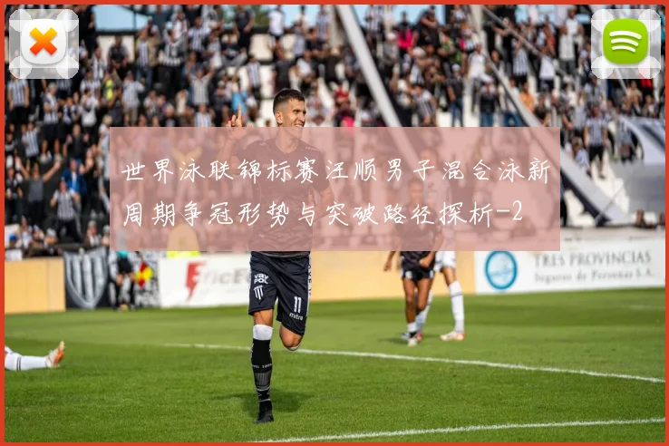 世界泳联锦标赛汪顺男子混合泳新周期争冠形势与突破路径探析